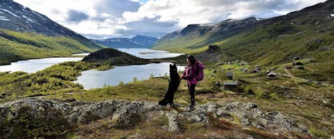 hege som holder en hund som står på to ben. vakkert naturlandskap i bakgrunnen. foto. 